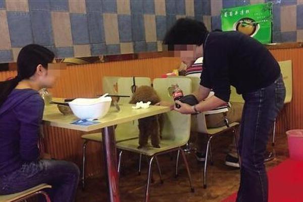 母女吃飯與狗同桌
