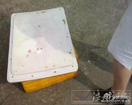 戴村鎮中心小學午餐衛生不達標
