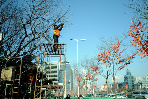 沈陽(yáng)大樹裝假樹葉遭吐槽 隱患著實(shí)不小