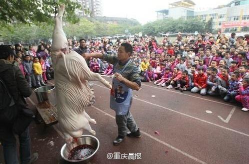 小學組織現場殺豬