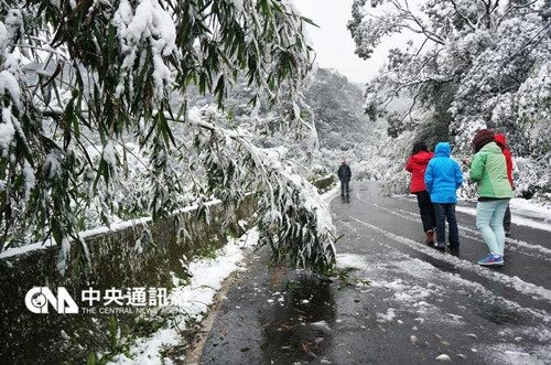 臺灣凍死人