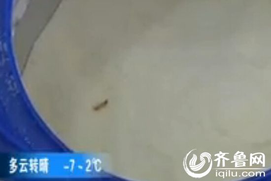 奶粉里吃出活蟲(chóng)