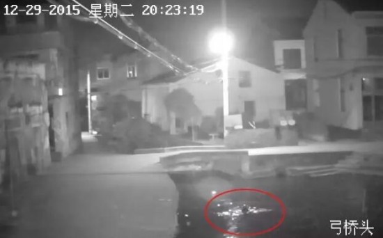 女子低頭玩手機掉進河里淹死