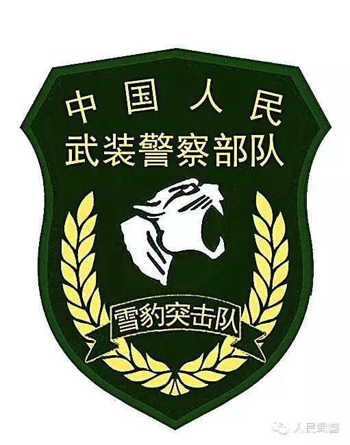 武警更換標(biāo)志服飾