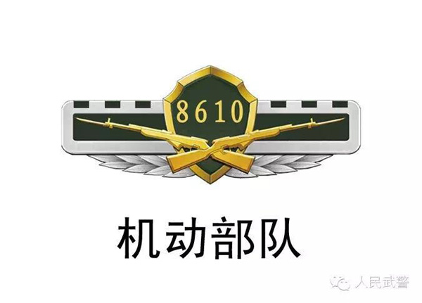 武警更換標(biāo)志服飾