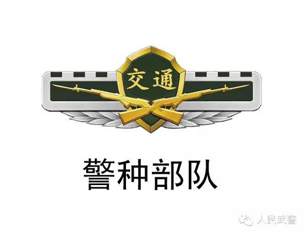 武警更換標(biāo)志服飾