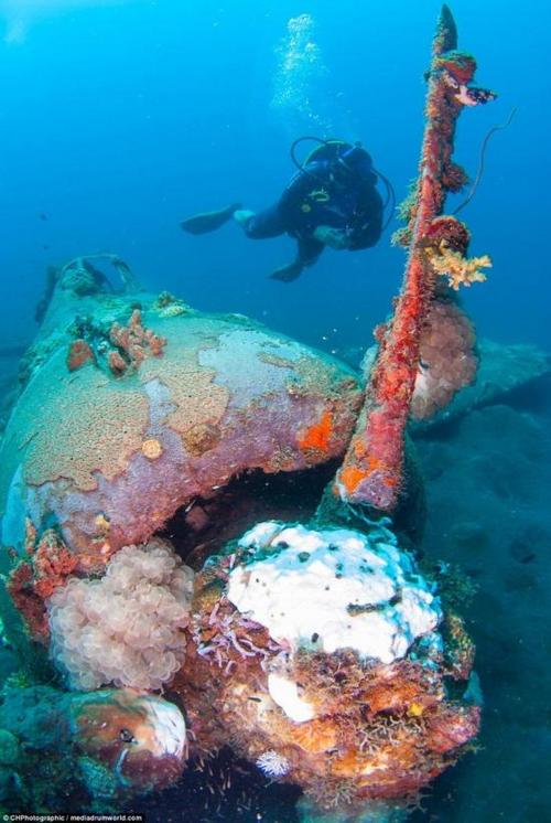 南太平洋海底發現二戰軍機