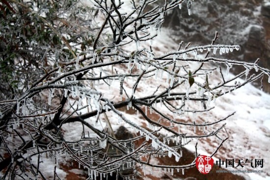 廣西寒潮影響 三月雨雪冰掛