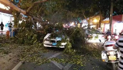 廣西強(qiáng)對流天氣 13年來最大范圍冰雹災(zāi)害