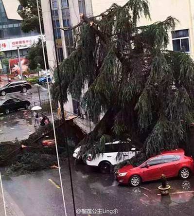 浙江北部遭遇冰雹襲擊 大風壓壞汽車