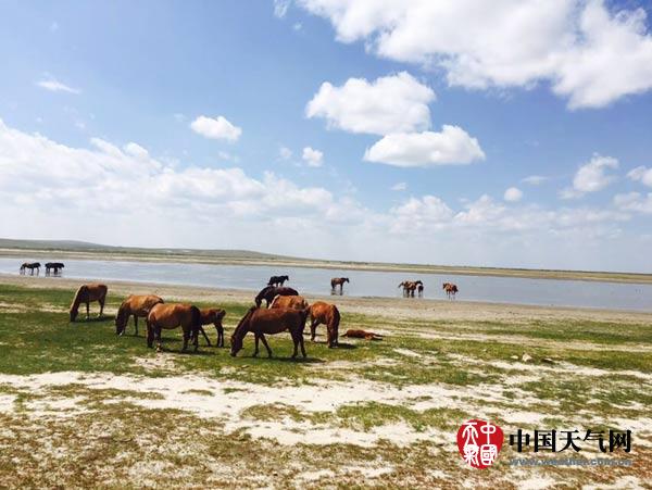 內(nèi)蒙古多地最高溫度超過(guò)40℃