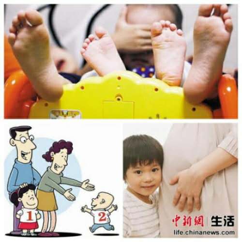 各地超生罰款標(biāo)準(zhǔn)