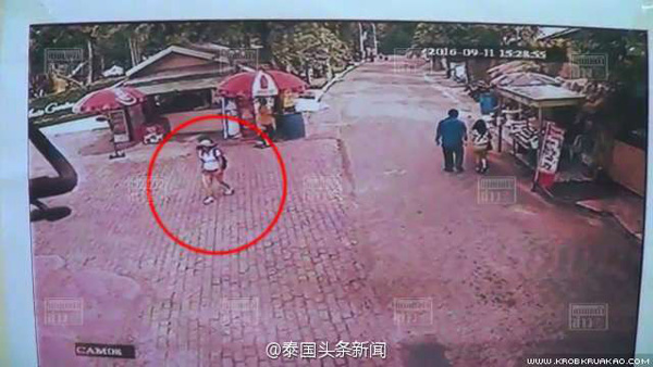游客在老虎園失蹤