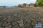 江蘇旱災(zāi) 淮河江蘇段遭遇旱情露出河床影響通航