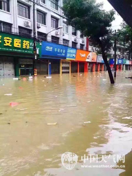臺風鲇魚影響平陽水頭暴雨內澇變水城