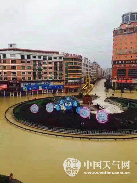 臺風鲇魚影響平陽水頭暴雨內澇變水城