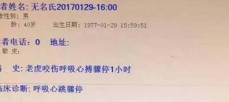 老虎咬人事件后續