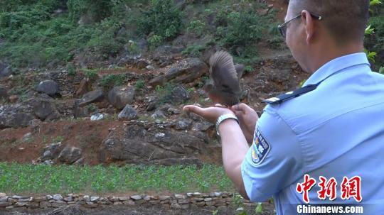 叔侄吹簫誘捕動物