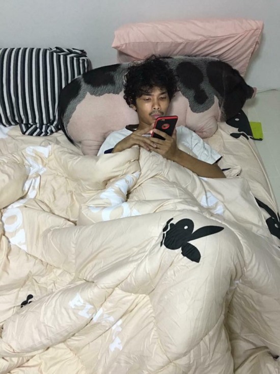 男子把母豬當女友