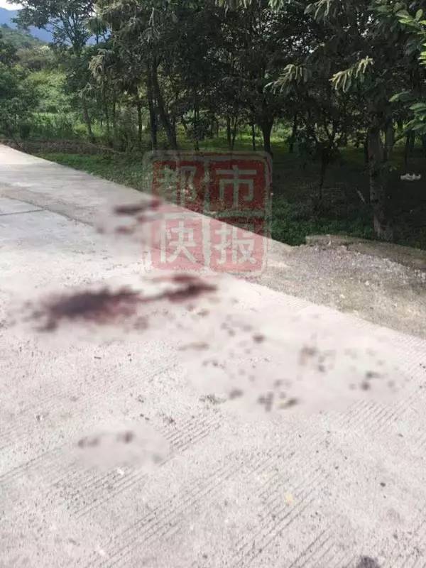 永嘉殺人案 浙江永嘉縣楓林殺人案2人被殺嫌犯自殺