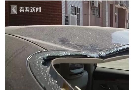 甲魚(yú)跳下26樓砸車(chē)