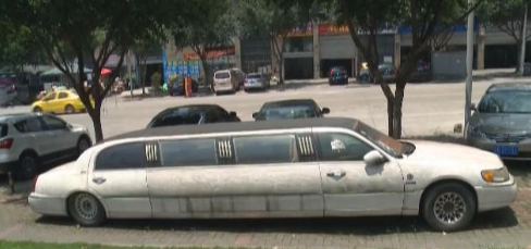 百萬豪車長(zhǎng)出青苔