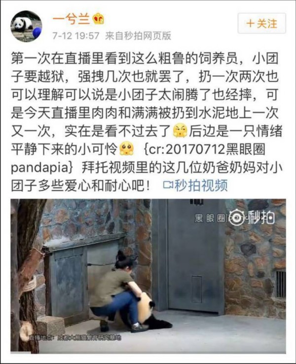 熊貓遭粗魯對待