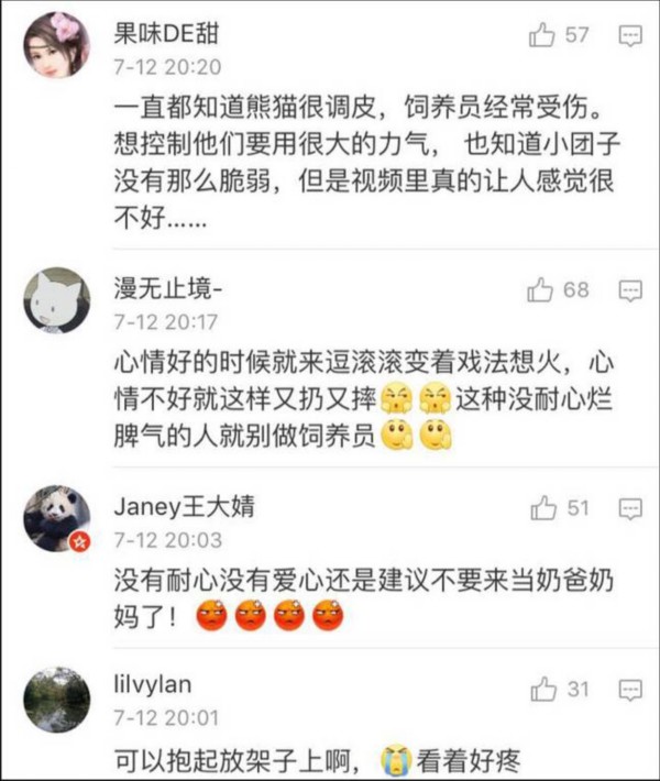 熊貓遭粗魯對待