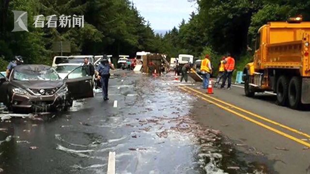 鰻魚噴黏液鋪道路
