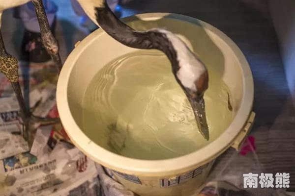 3D打印鈦合金鳥嘴