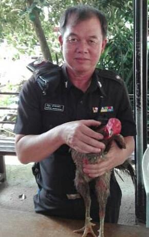 毒販被判給雞道歉