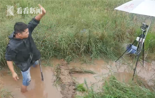 網(wǎng)紅農(nóng)民直播鄉(xiāng)村