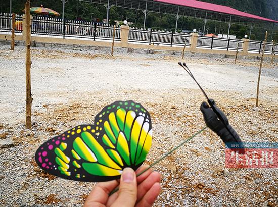 動物園展塑料蝴蝶