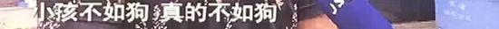 兒子被咬摔死泰迪 愛狗人士殺人