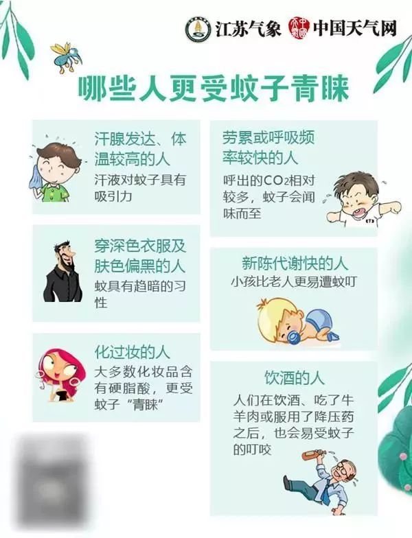 首份蚊子預警地圖