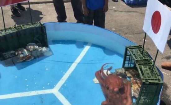預(yù)言帝章魚哥被煮