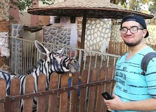 動物園畫驢成斑馬