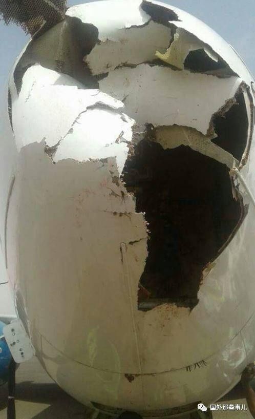 客機撞鳥引擎故障