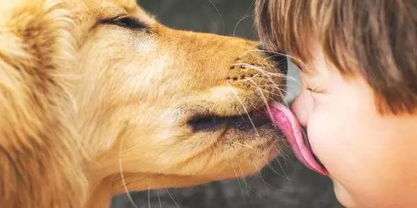 被愛犬舔舐后截肢