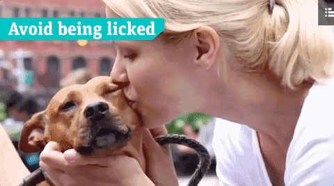 被愛犬舔舐后截肢