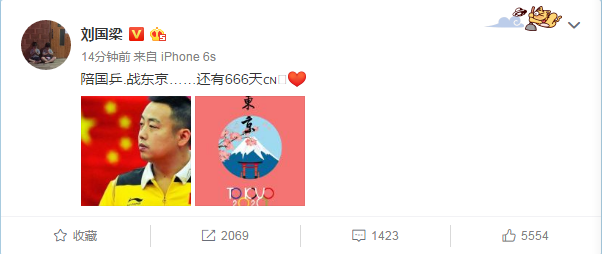 劉國梁回歸