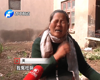 被堂姐頂替上大學