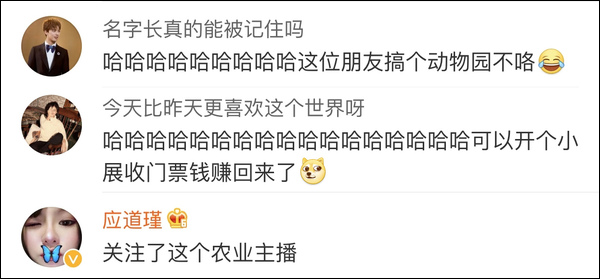 雙11購物最荒謬冠軍誕生!男生喝醉后買孔雀娃娃魚