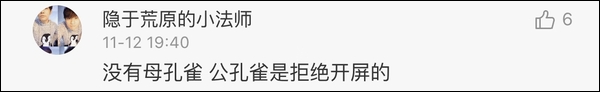 雙11購物最荒謬冠軍誕生!男生喝醉后買孔雀娃娃魚