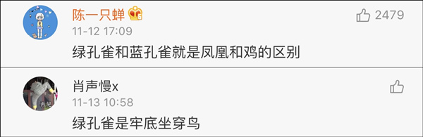 雙11購物最荒謬冠軍誕生!男生喝醉后買孔雀娃娃魚