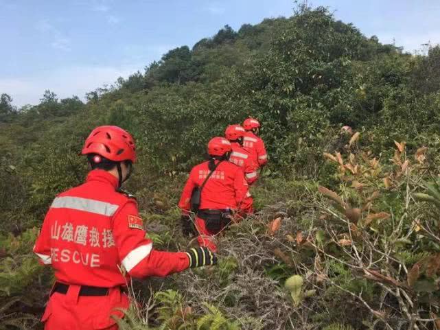 小伙打游戲過度產生幻覺離家 12天后在山上被發現