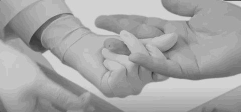 一滴血價(jià)值600億
