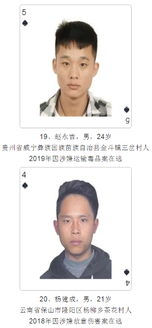 云南發(fā)撲克通緝令
