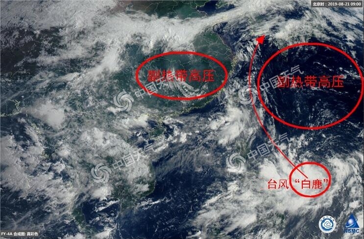 臺風白鹿登陸哪里 11號臺風路徑分析