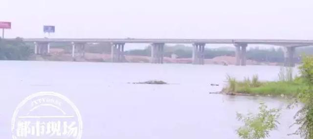 極其罕見！江西男子在贛江抓到“怪魚”，是國家一級保護動物